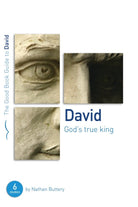 Cover image for David: God's True King, isbn: 9781904889984
