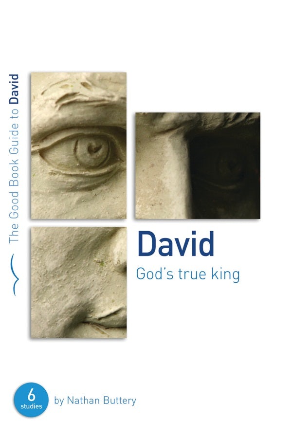 Cover image for David: God's True King, isbn: 9781904889984