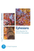 Cover image for Ephesians: God's Big Plan for Christ's New People, isbn: 9781907377099