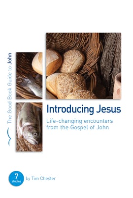 Cover image for John: Introducing Jesus, isbn: 9781907377129
