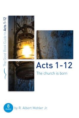 Cover image for Acts 1-12: The Church Is Born, isbn: 9781910307007