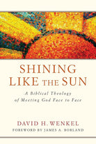 Cover image for Shining Like the Sun, isbn: 9781941337523