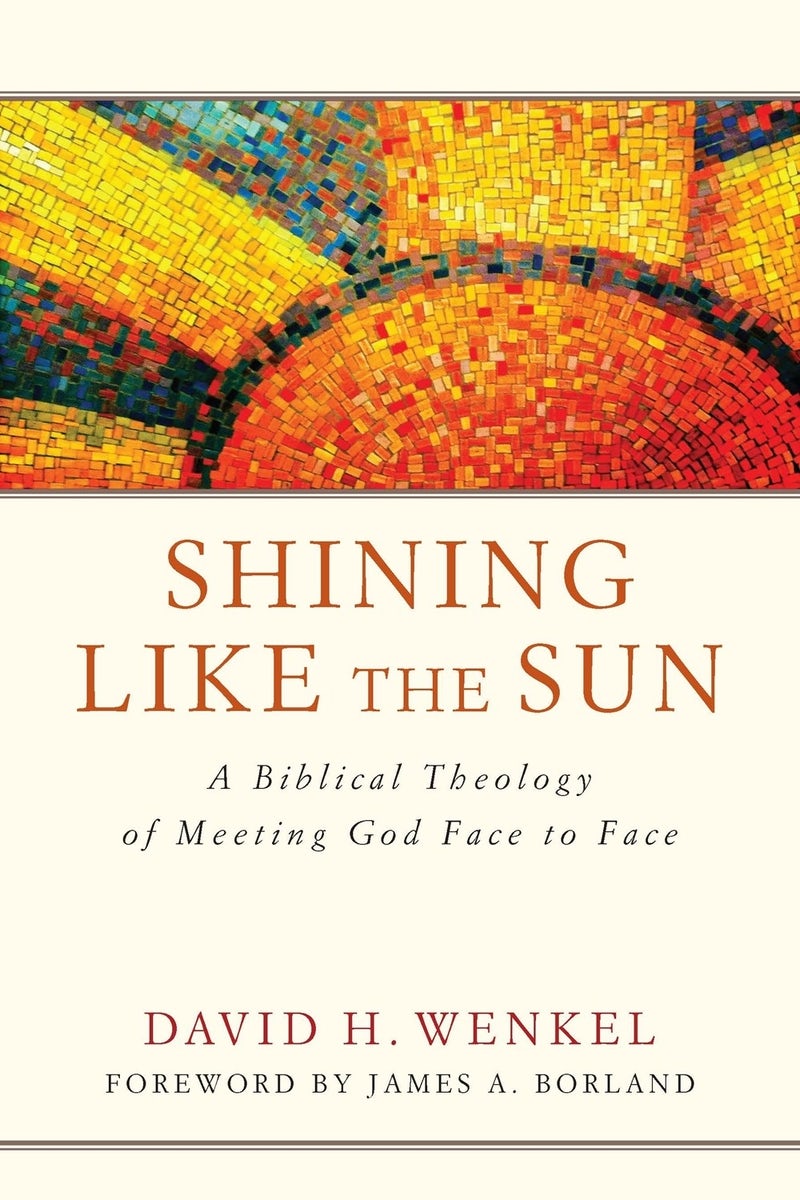 Cover image for Shining Like the Sun, isbn: 9781941337523