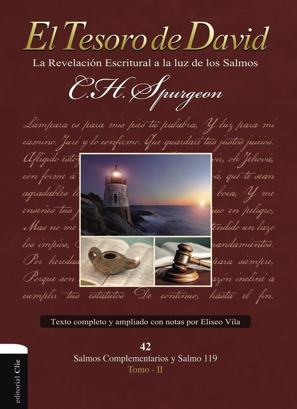 Cover image for El Tesoro de David II, isbn: 9788417131746