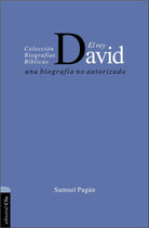 Cover image for El Rey David, isbn: 9788482678139