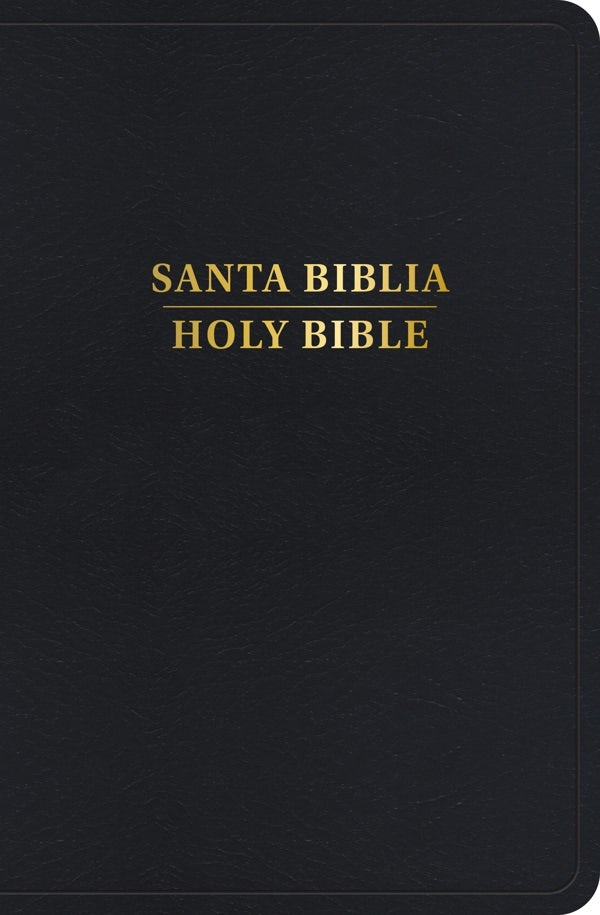 Cover image for Rvr 1960/KJV Biblia Bilingüe Tamaño Personal, Negro Imitación Piel Con Índice (Edición 2024), isbn: 9798384500506