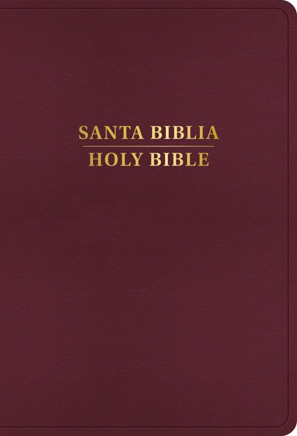 Cover image for Rvr 1960/KJV Biblia Bilingüe Letra Grande, Borgoña Imitación Piel (Edición 2024), isbn: 9798384500537