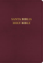 Cover image for Rvr 1960/KJV Biblia Bilingüe Letra Grande, Borgoña Imitación Piel Con Índice (Edición 2024), isbn: 9798384500544