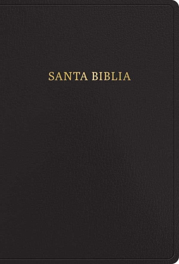 Cover image for Rvr 1960 Biblia Letra Súper Gigante, Negro, Imitación Piel (Edición 2023), isbn: 9798384502913