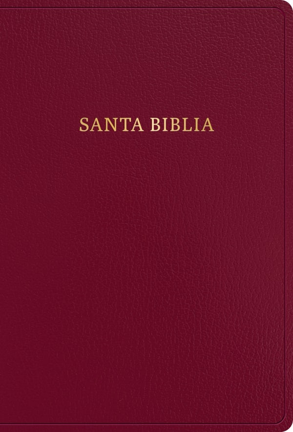 Cover image for Rvr 1960 Biblia Letra Súper Gigante, Borgoña Imitación Piel (Edición 2023), isbn: 9798384502937