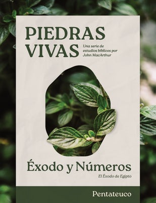 Cover image for Piedras Vivas: Éxodo Y Números - Estudio Bíblico, isbn: 9798384507024