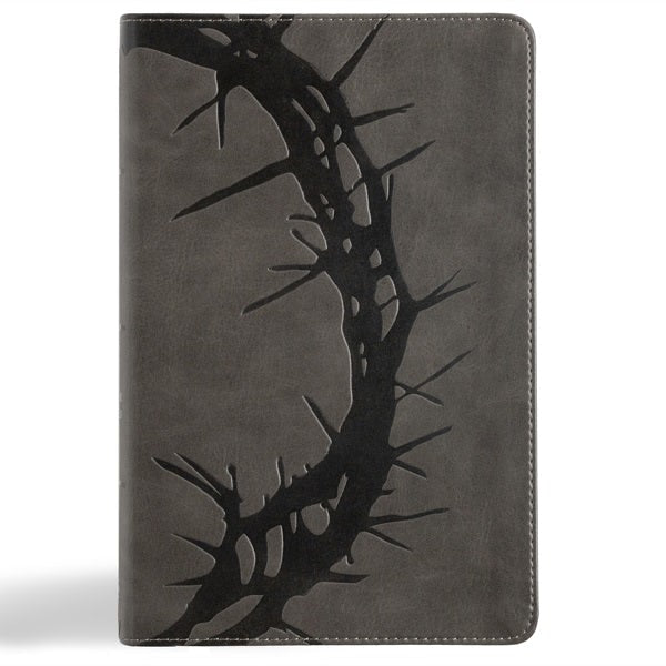 Cover image for NASB Large Print Personal Size Reference Bible, Charcoal Leathertouch, Indexed, isbn: 9798384509479