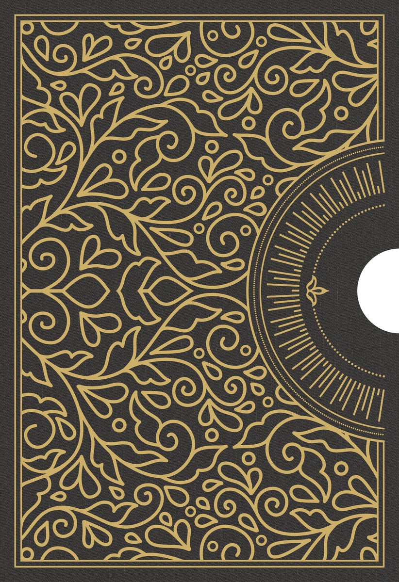 Cover image for The 30 Days Series Bundle: CSB Edition, isbn: 9798384509677