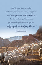 Cover image for Pastor Appreciation Bulletin: And He Gave (Package of 100), isbn: 9798384516255