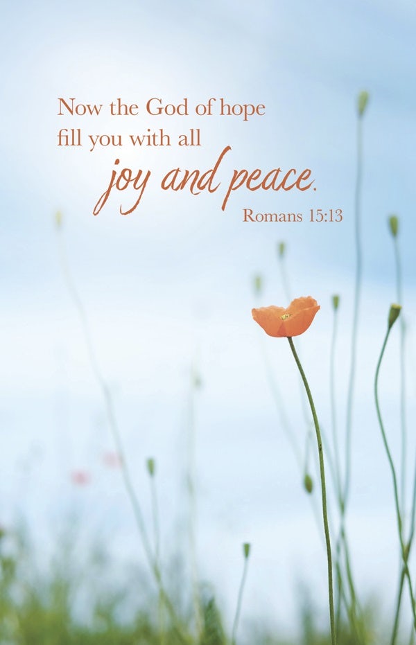 Cover image for General Worship Bulletin: All Joy (Package of 100), isbn: 9798384516897