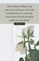 Cover image for Funeral Bulletin: I Give Unto You (Package of 100), isbn: 9798384517009