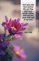 Cover image for Funeral Bulletin: My Hand (Package of 100), isbn: 9798384517023