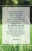 Cover image for Revival Bulletin: My Word (Package of 100), isbn: 9798384517061