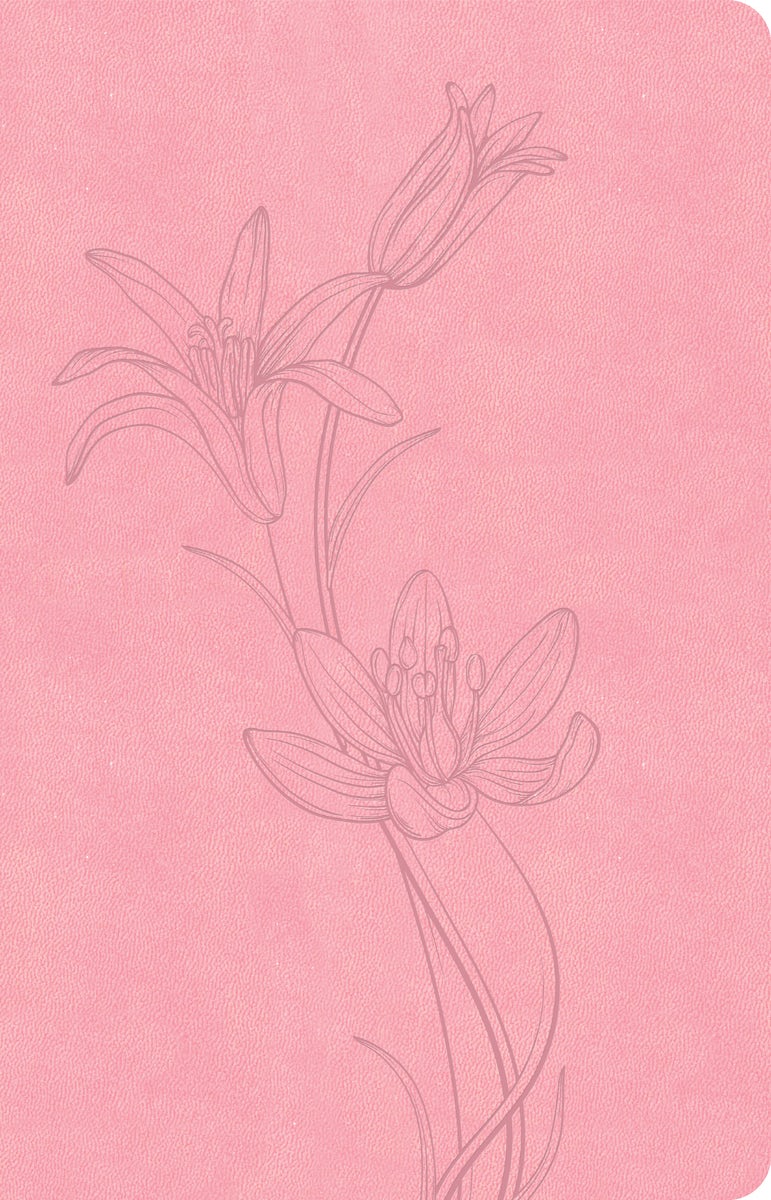 Cover image for CSB Thinline Bible, Value Edition, Soft Pink Leathertouch, isbn: 9798384517528