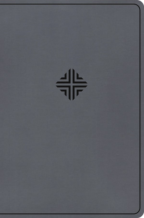 Cover image for CSB Large Print Thinline Bible, Value Edition, Charcoal Leathertouch, isbn: 9798384517535