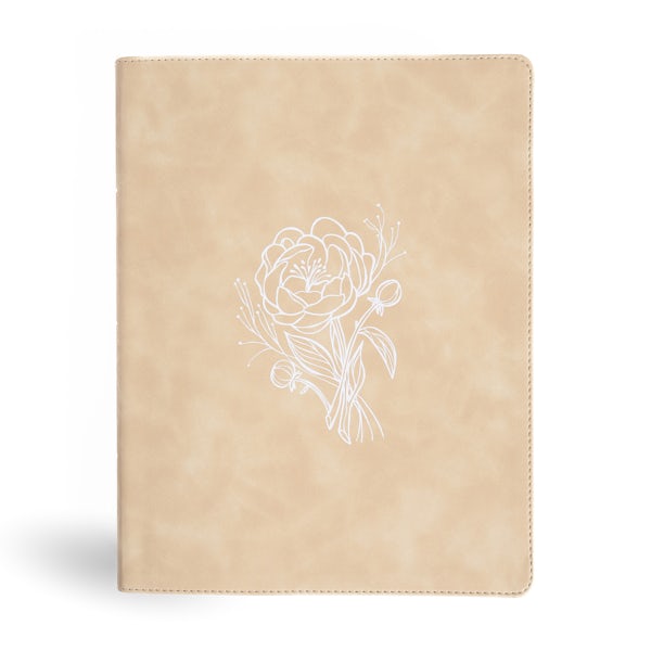 Cover image for CSB Illustrator's Notetaking Bible, Large Print Edition, Cream Leathertouch, isbn: 9798384518266