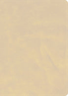 Cover image for CSB She Reads Truth Bible, Holman Handcrafted Collection, Blonde Premium Calfskin, isbn: 9798384518297