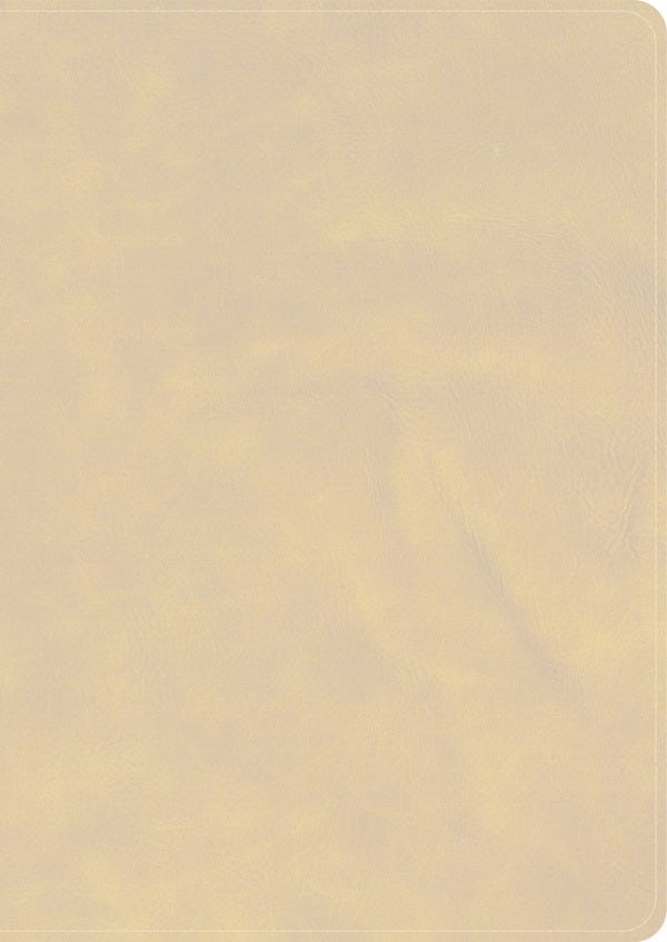 Cover image for CSB She Reads Truth Bible, Holman Handcrafted Collection, Blonde Premium Calfskin, isbn: 9798384518297