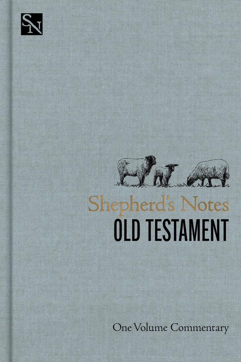 Cover image for Shepherd's Notes on the Old Testament, isbn: 9798384523482