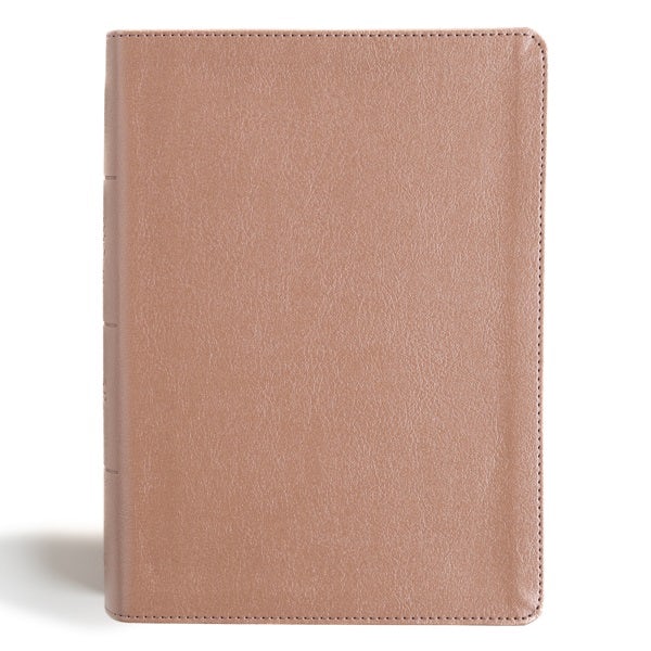 Cover image for CSB Study Bible, Personal Size, Digital Study Edition, Rose Gold Leathertouch, isbn: 9798384523567