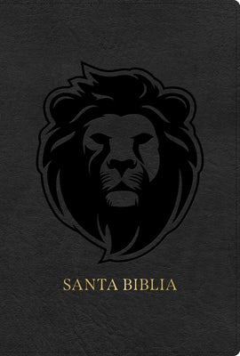 Cover image for Rvr 1960 Biblia Letra Grande Tamaño Manual Edición Especial, Ceniza, Símil Piel, isbn: 9798384525851