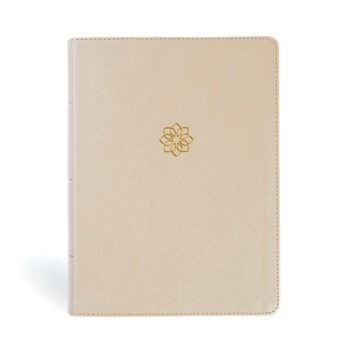 Cover image for CSB Study Bible, Large Print, Digital Study Edition, Gold Leathertouch, isbn: 9798384526216