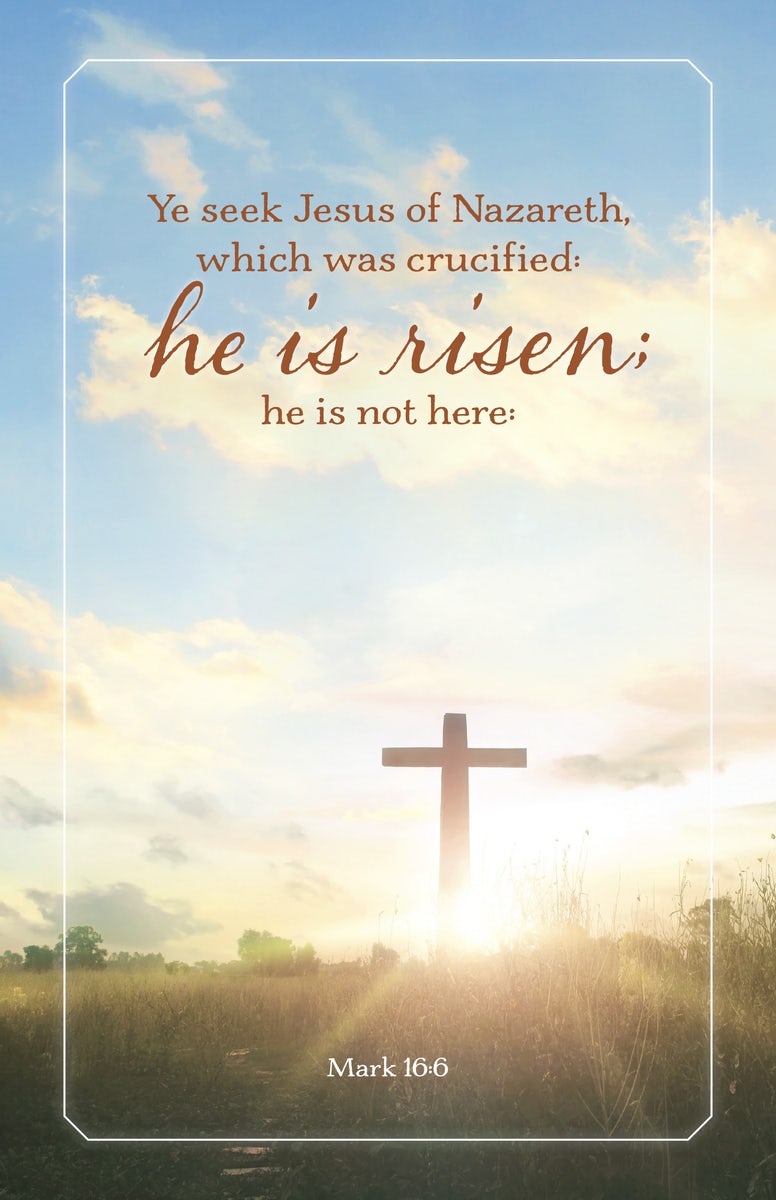 Cover image for Easter Bulletin: Ye Seek (Package of 100), isbn: 9798384526797