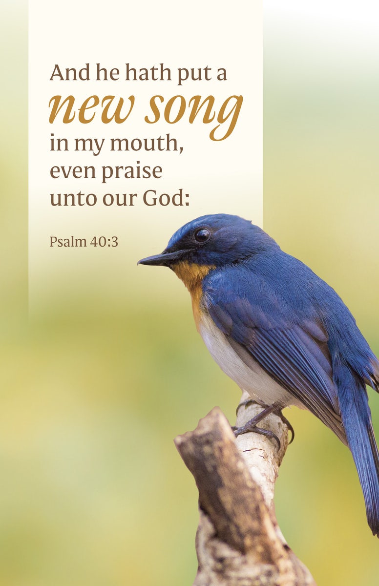 Cover image for General Worship Bulletin: He Hath Put (Package of 100), isbn: 9798384527114