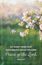 Cover image for General Worship Bulletin: Let Every Thing (Package of 100), isbn: 9798384527206