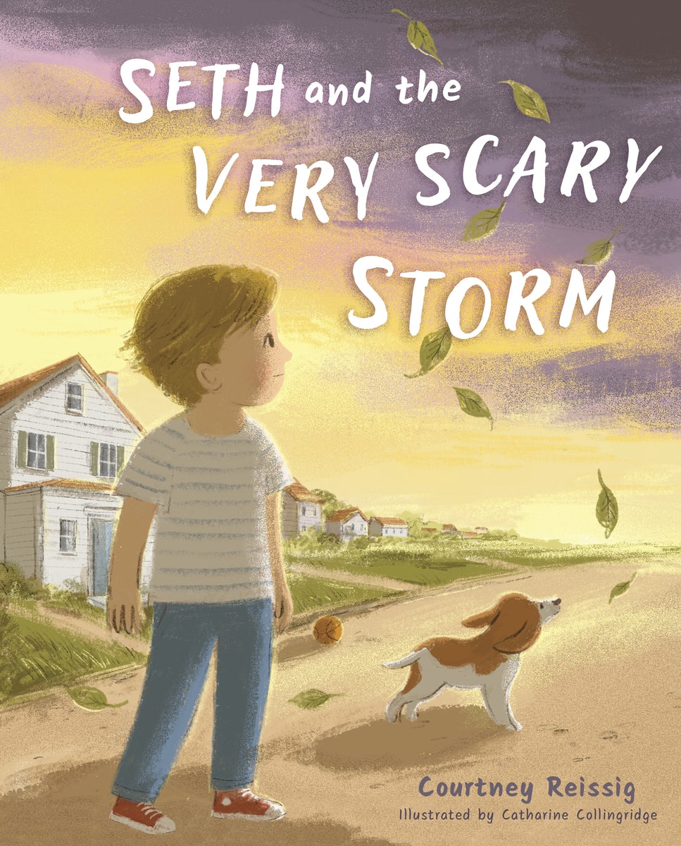 Cover image for Seth and the Very Scary Storm, isbn: 9798384529781