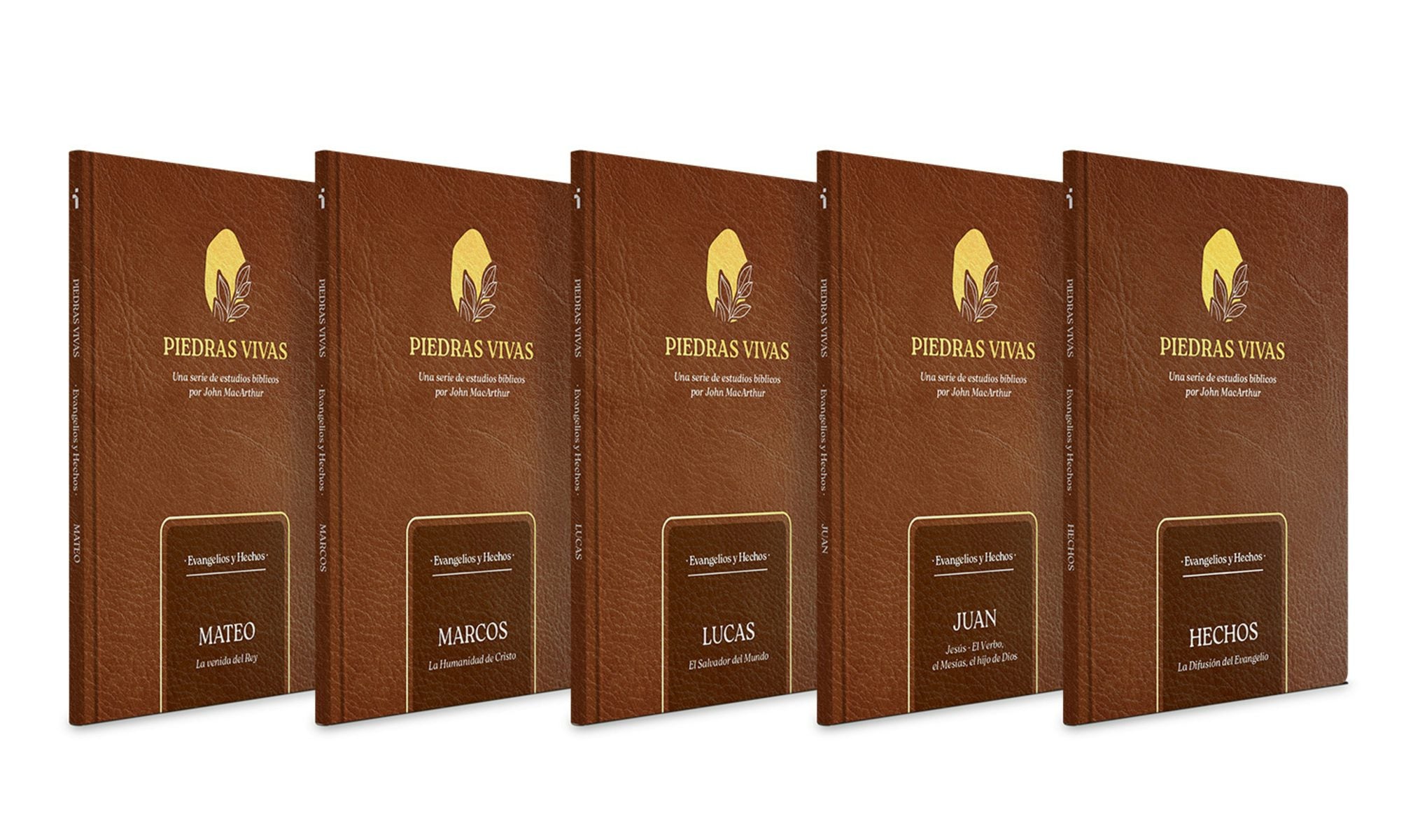 Cover image for Piedras Vivas: Evangelios Y Hechos - La Serie Completa, isbn: 9798384533054