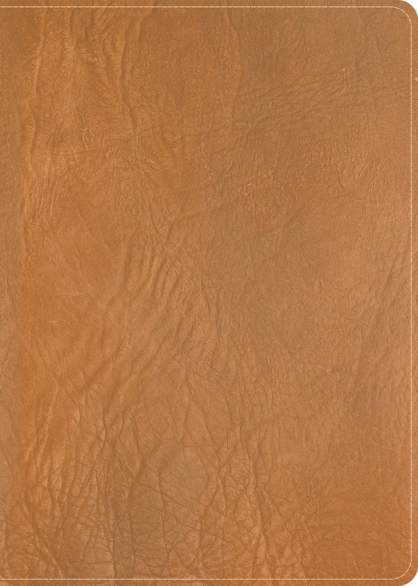 Cover image for CSB He Reads Truth Bible, Holman Handcrafted Collection, Saddle Brown Premium Calfskin, isbn: 9798384533214