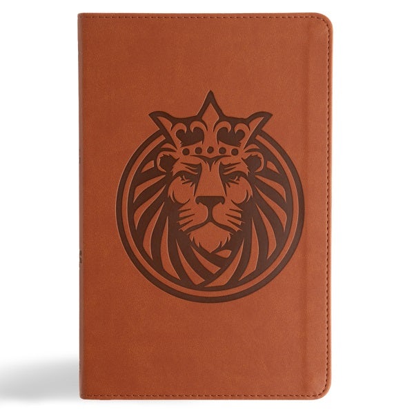 Cover image for CSB Kids Bible, Anglicised Edition, Lion Leathertouch, isbn: 9798384533344