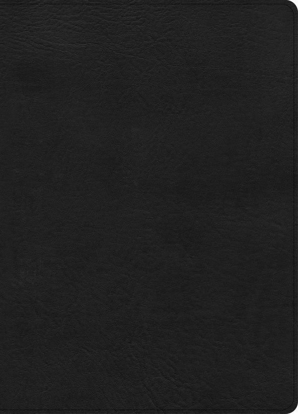 Cover image for CSB Study Bible, Large Print, Digital Study Edition, Black Leathertouch, Indexed, isbn: 9798384533504