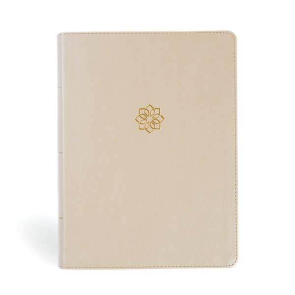 Cover image for CSB Study Bible, Large Print, Digital Study Edition, Gold Leathertouch, Indexed, isbn: 9798384533511