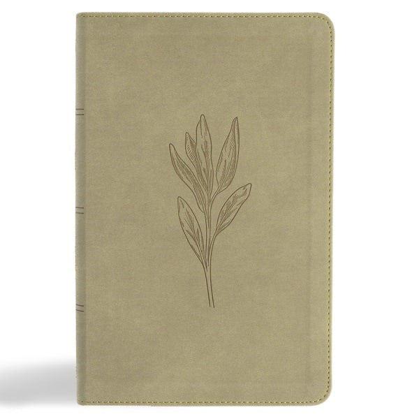 Cover image for KJV Single-Column Personal Size Bible, Sage Suedesoft Leathertouch, isbn: 9798384533573