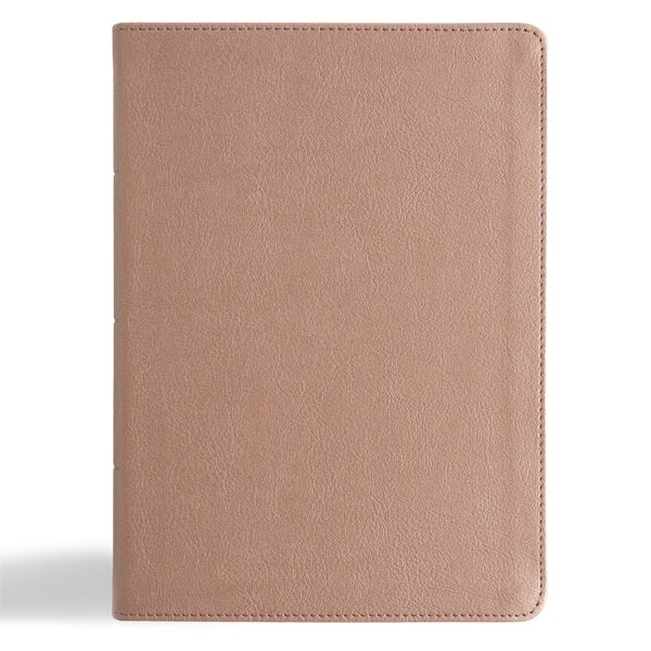 Cover image for KJV Study Bible, Personal Size Edition, Rose Gold Leathertouch, isbn: 9798384533603