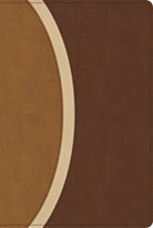 Cover image for CSB Rainbow Study Bible, Brown Leathertouch (Limited Edition), isbn: 9798384534211
