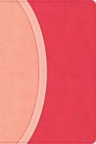 Cover image for CSB Rainbow Study Bible, Pink Leathertouch (Limited Edition), isbn: 9798384534228