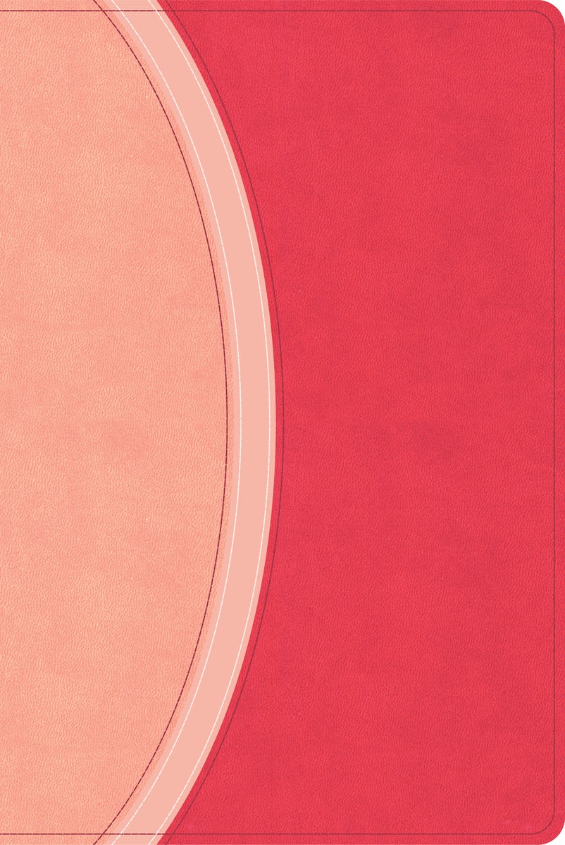 Cover image for CSB Rainbow Study Bible, Pink Leathertouch (Limited Edition), isbn: 9798384534228