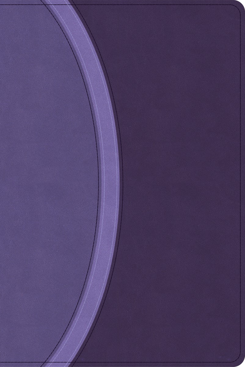 Cover image for CSB Rainbow Study Bible, Purple Leathertouch (Limited Edition), isbn: 9798384534235