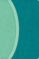 Cover image for CSB Rainbow Study Bible, Teal Leathertouch (Limited Edition), isbn: 9798384534242