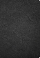 Cover image for CSB Baker Illustrated Study Bible, Black Genuine Leather, isbn: 9798384540199