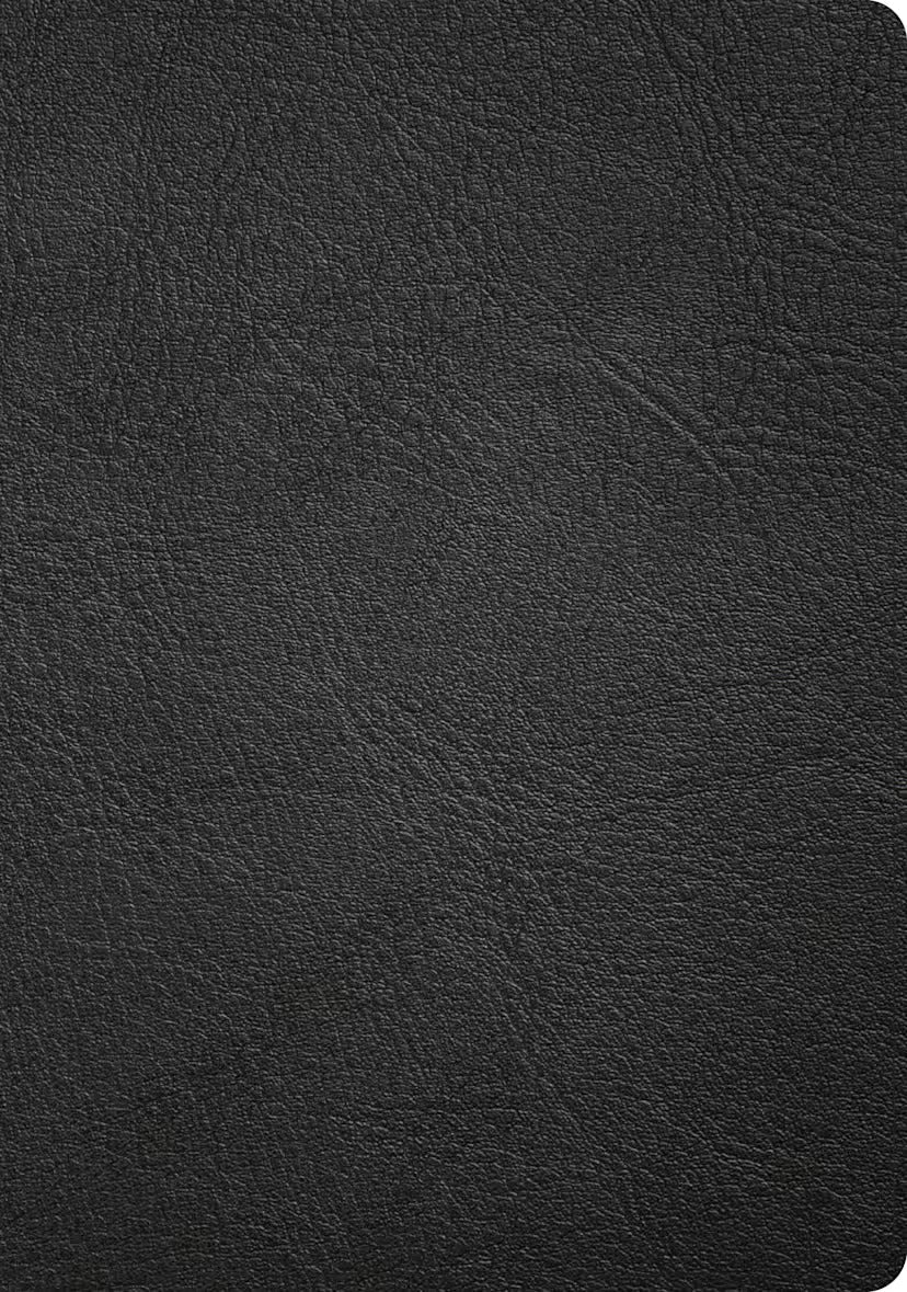 Cover image for CSB Baker Illustrated Study Bible, Black Genuine Leather, isbn: 9798384540199