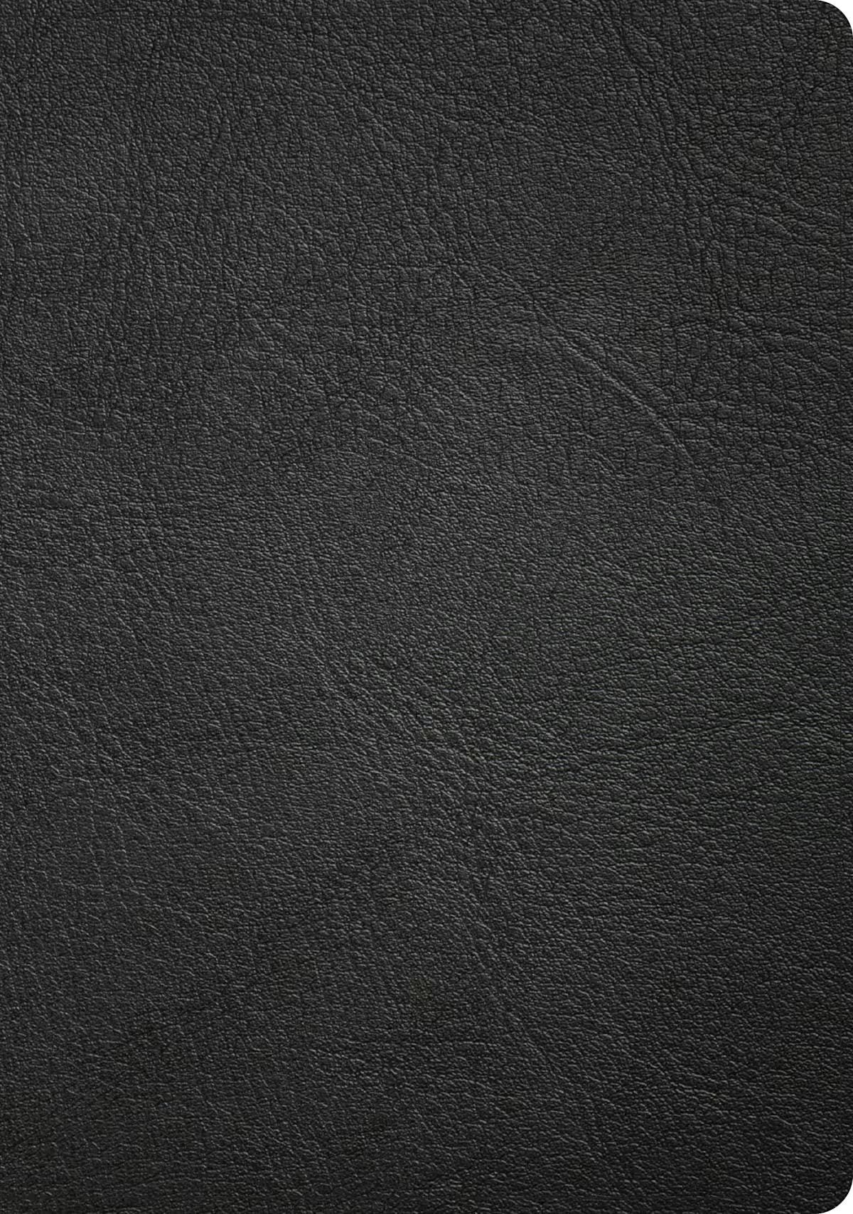 Cover image for CSB Baker Illustrated Study Bible, Black Genuine Leather, Indexed, isbn: 9798384540205